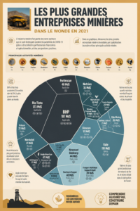 Vue d'ensemble des grandes entreprises minières